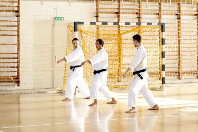 Tran Sensei szeminárium Csömör 2018 – 2. kép